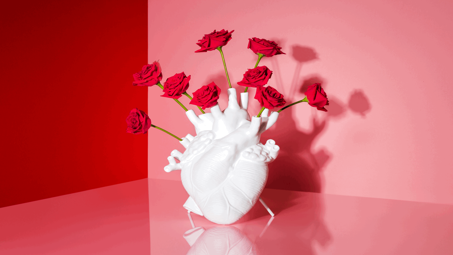 A white anatomical heart-shaped vase holds nine red roses, set against a pink and red background with a glossy pink surface reflecting the arrangement.