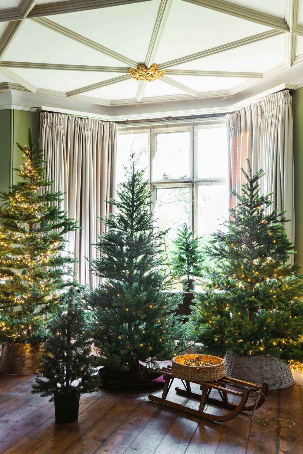 Several decorated Christmas trees with fairy lights are arranged in front of a large bay window with cream curtains. A vintage wooden sledge and a woven basket sit on the wooden floor nearby.