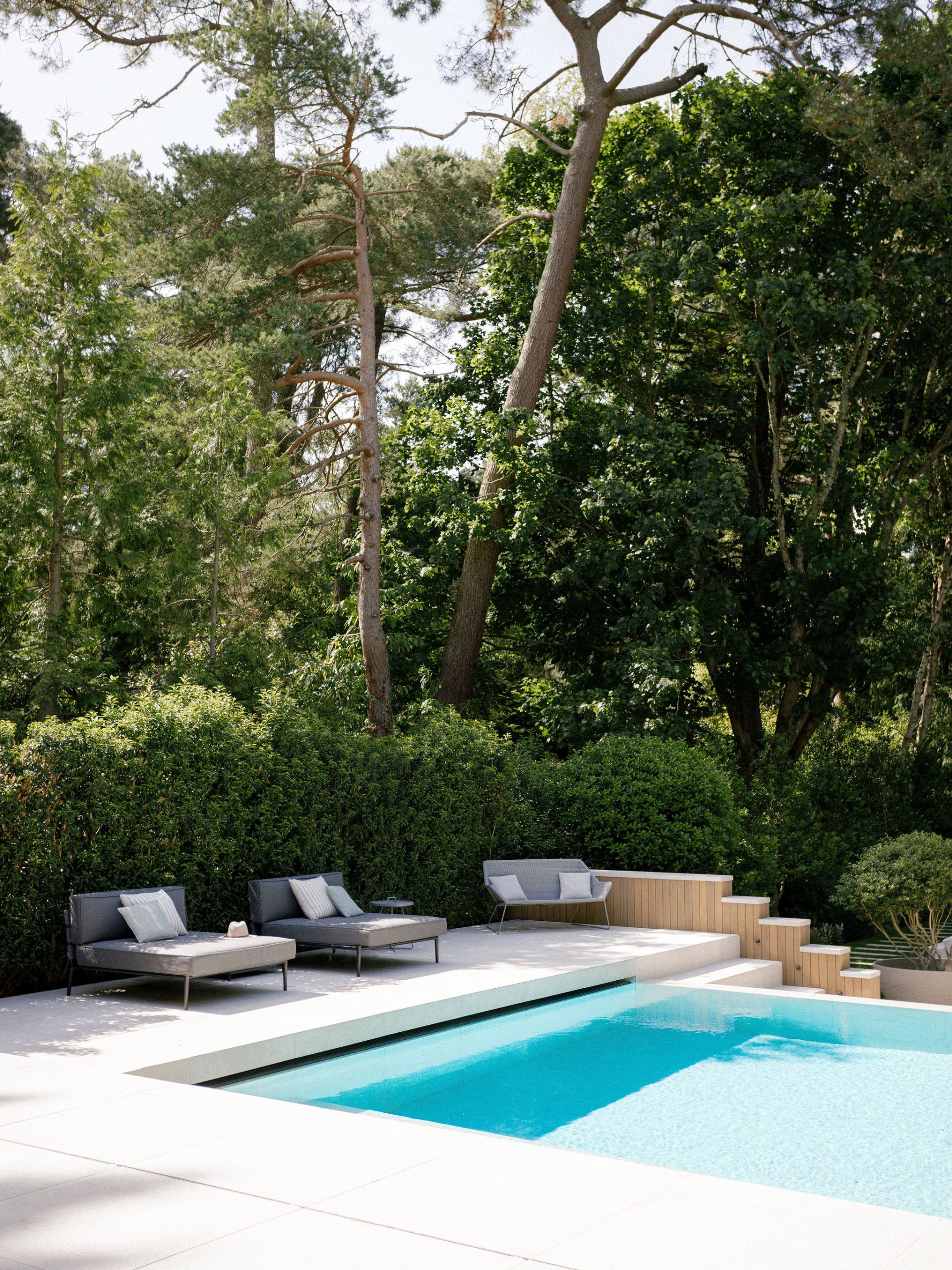Two modern lounge chairs with cushions sit by a rectangular swimming pool, surrounded by tall green trees and dense bushes. Wooden steps lead up to more seating, and the area is bright and sunny.